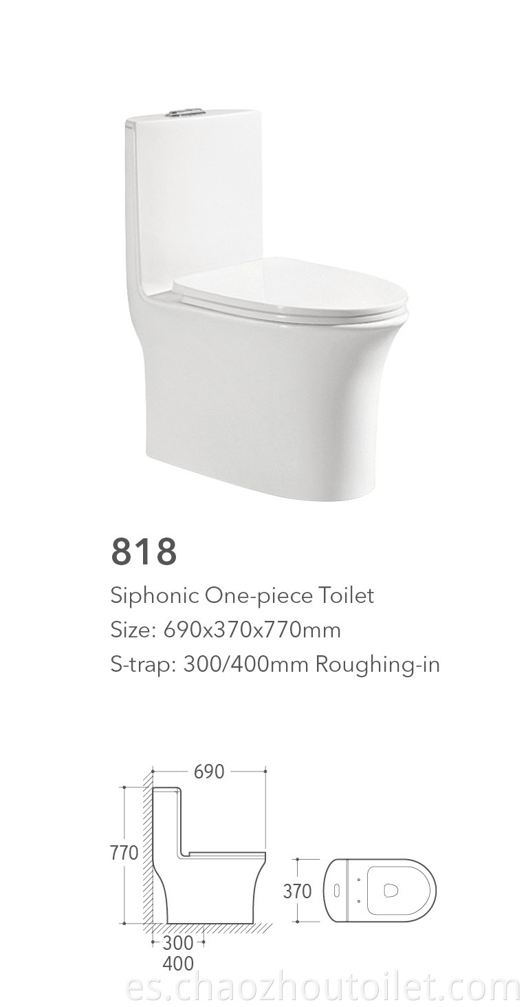 818 One Piece Toilet